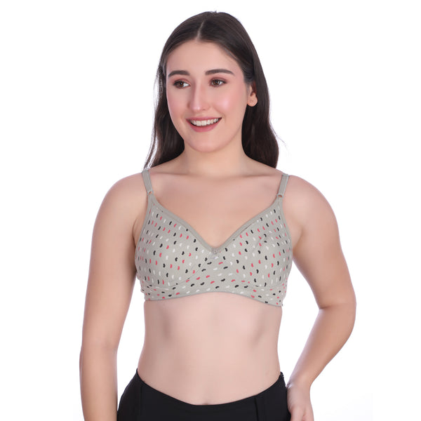 Pista